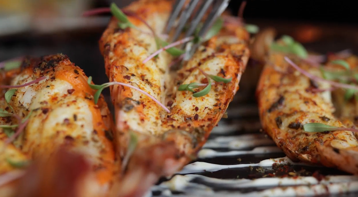 迪拜美食指南 – 用餐、畅饮和探索本地风味的好去处