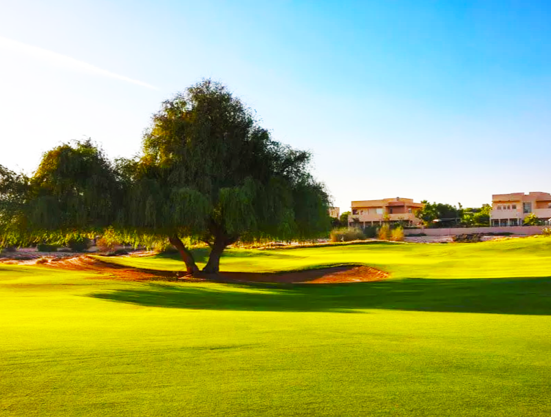 阿拉伯牧场高尔夫俱乐部1