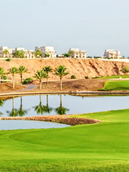 拉维高尔夫俱乐部