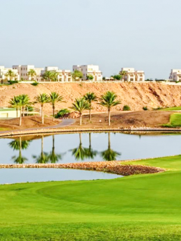 拉维高尔夫俱乐部